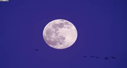 What is ‘Strawberry Moon’? When will it be visible in Pakistan?