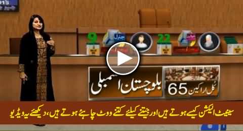 What is the Procedure of Senate Election & How Senators Are Elected, Watch This Video