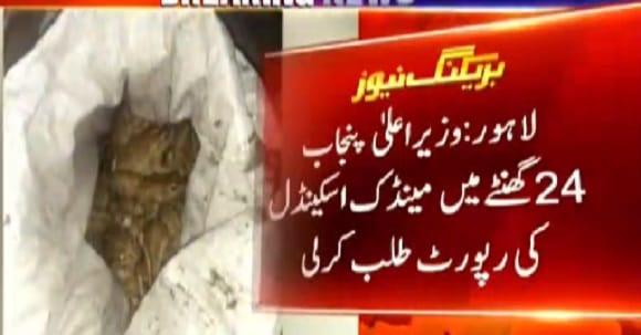 What Is The Reality Behind Lahore Frog Scandal, Details Revealed Within 24 Hrs