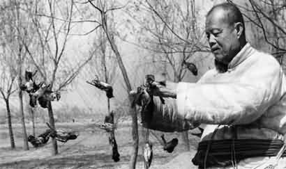 When China's Mao Zedong ordered all the sparrows to be killed