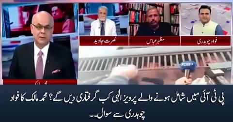 When will Pervaiz Elahi present himself for arrest? Muhammad Malick asks Fawad Chaudhry