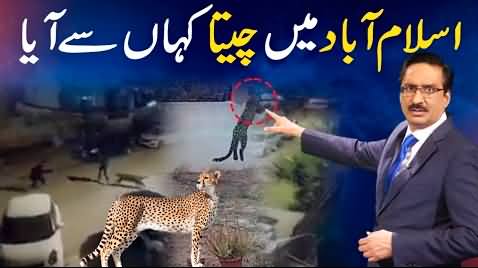 Where did the Leopard come from in Islamabad? Details by Javed Chaudhry
