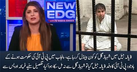 Who is handling Shahbaz Gill in Adiala Jail? Details by Fareeha Idrees