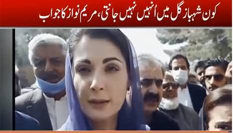Who Is Shahbaz Gill? I Don't Know Him - Maryam Nawaz on Journalist's Question