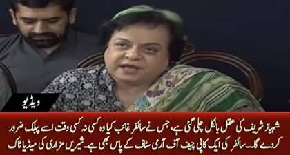 Whoever stole cypher, I am sure he will public it some day - Shireen Mazari's media talk