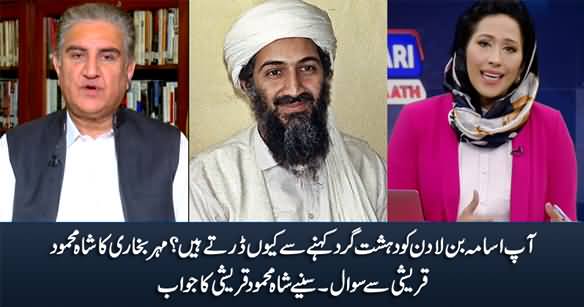 Why Are You Afraid to Call Osama Bin Laden A Terrorist? Mehar Bukhari Asks Shah Mehmood Qureshi