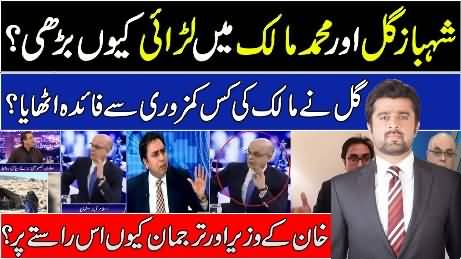 Why debate turned heated between Shahbaz Gill & Muhammad Malik - Ameer Abbas's analysis
