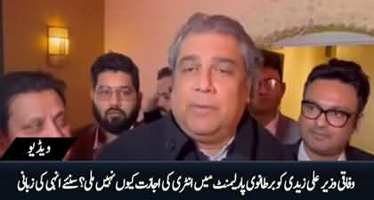 Why federal minister Ali Zaidi was barred to enter in British Parliament?