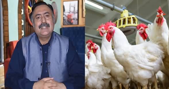 Why Medicines Don't Affect Us After Having Broiler Chicken in Our Diet? Mohsin Bhatti's Vlog