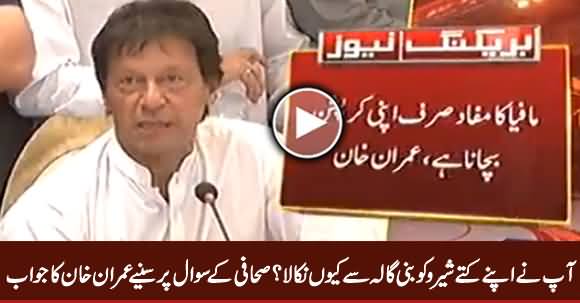 Why You Kicked Out Your Dog Shero From Your Home? Listen Imran Khan's Reply