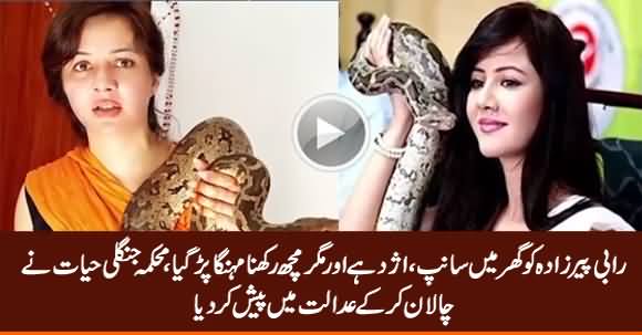 Wildlife Department Presented Challan Against Rabi Pirzada in Court For Keeping Wild Animals as Pet