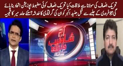 Will PTI make a grand alliance against govt? Junaid Akbar's future's planning - Hamid Mir's analysis