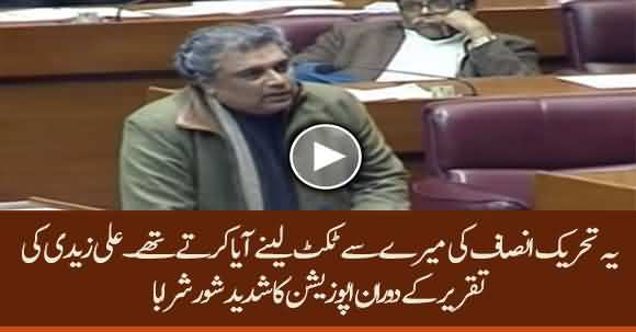 Ye Mere Pas Ticket Mangne Aate Thay - Uproar In Assembly By Opposition On Ali Zaidi's Speech