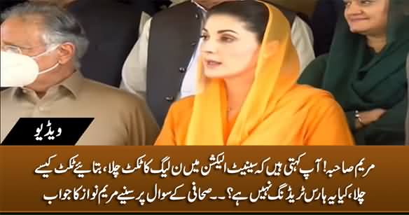 You Said PMLN's Ticket Worked in Senate Election, Is It Not Horse Trading? Journalist Asks Maryam Nawaz