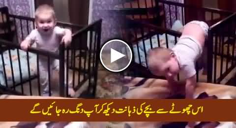 You Will Be Astonished After Watching the Intelligence of This Cute Kid